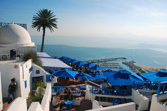 Private Group Day Tour Tunis Medina Carthage Sidi Bou Said - Key Points