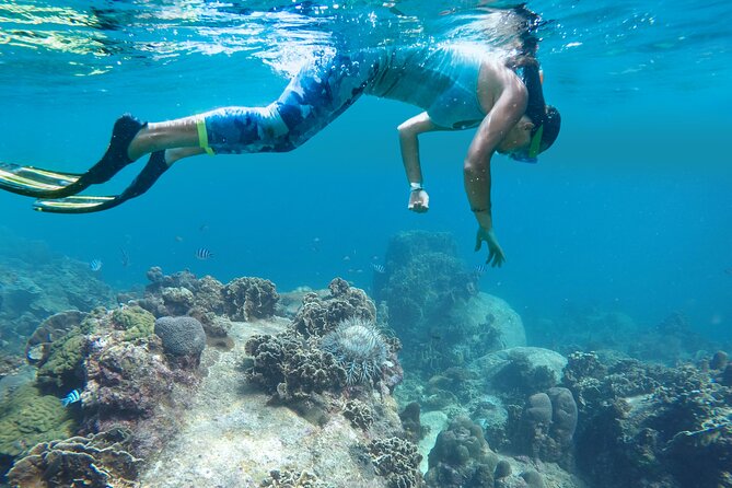 Private Guided 2-Hour Snorkeling Experience in Playa Mantas - Key Points