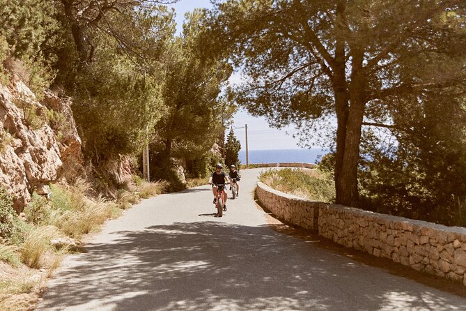 Private Guided Ebike Tour in Ibiza - Tour Details