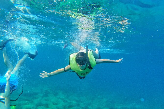 Private Guided Snorkel Tour of Fort Lauderdales Reef - Key Points