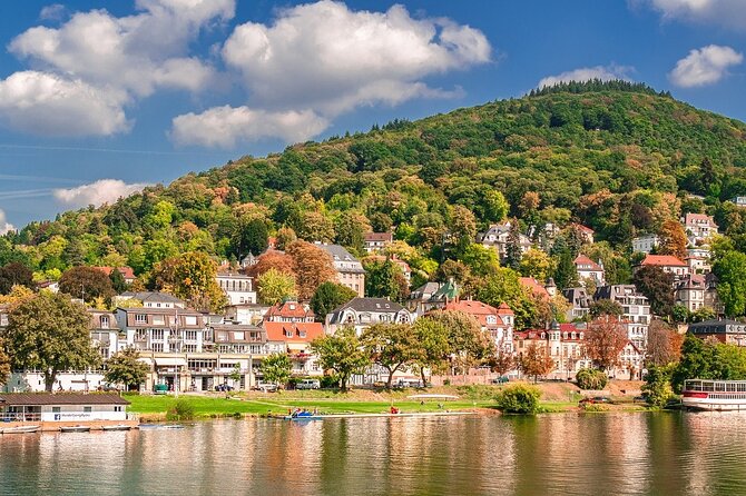 Private Half-Day Heidelberg Tour From Frankfurt - Tour Overview