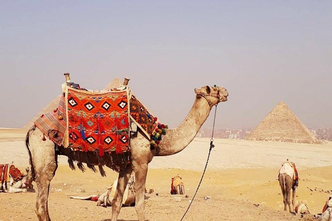 Private Half-Day Tours to Giza Pyramids and Sphinx With Camel Ride - Key Points