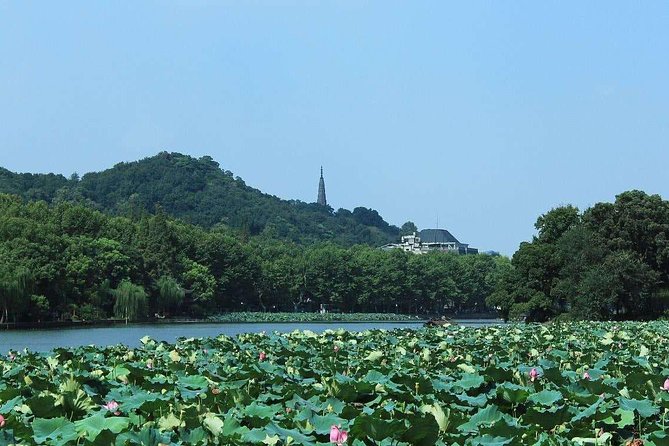 Private Hangzhou Day Tour: Meijiawu Tea Village And West Lake From Shanghai - Key Points