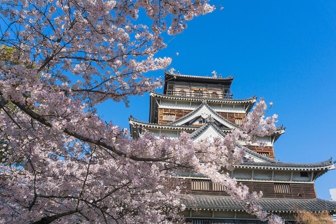Private Hiroshima Cherry Blossom and Sakura Experience - Key Points