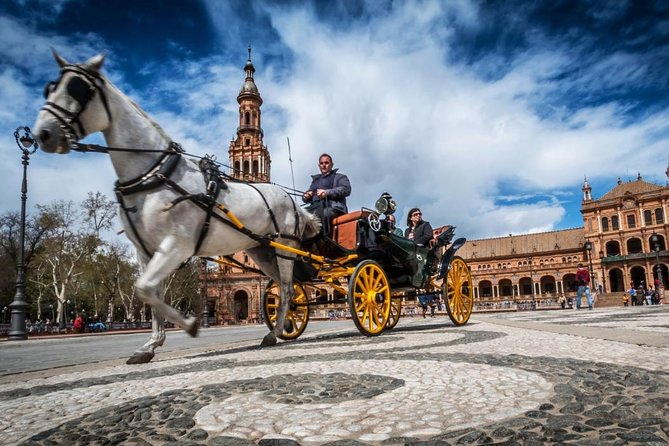 Private Horse Carriage Ride and Walking Tour of Seville - Key Points