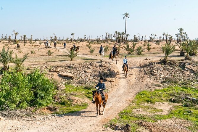 Private Horseback Ride in the Palmeraie of Marrakech - Key Points