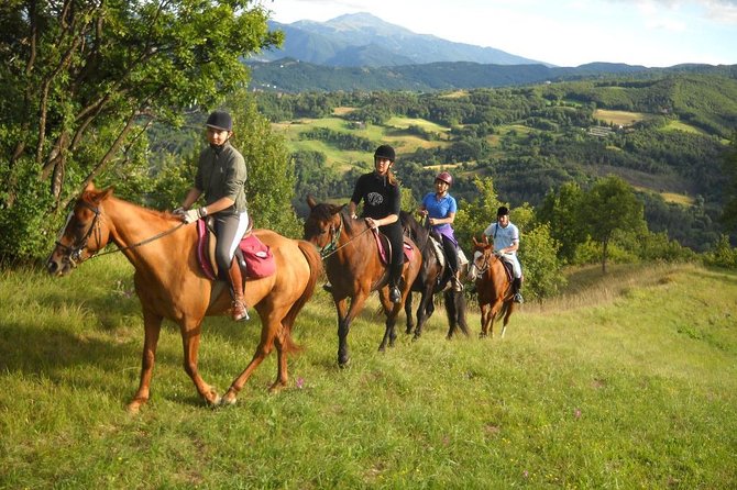Private Horseback Riding Tour in Sicilian Countryside Tradional Lunch - Key Points