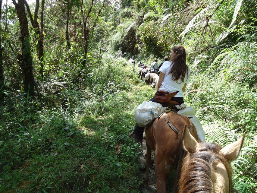 Private Horseback Riding Tour to Tres Chorros Waterfall - Key Points