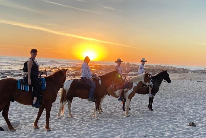 Private Horseback Riding Tour to Watch the Sunset in Nosara - Key Points