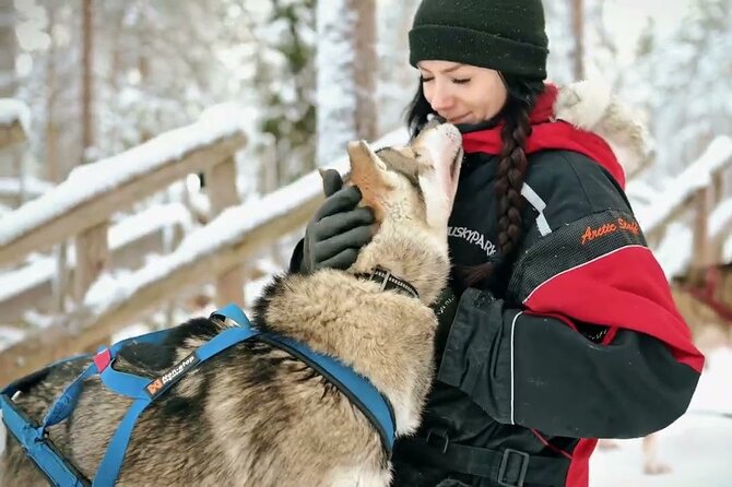 Private Husky Tour With Guide by VIP Car - Key Points