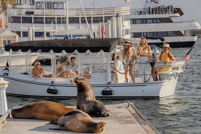 Private Luxury E-Boat Cruise With Wine, Charcuterie & Sea Lions Spotting - Key Points