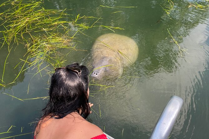 Private Manatee Boat Tour. - Key Points