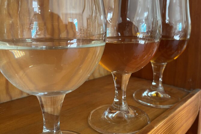Private Mead Taste Experience in Lourdes - Key Points
