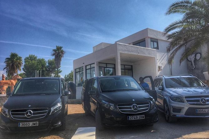 Private Minibus Transfers in Ibiza - Key Points