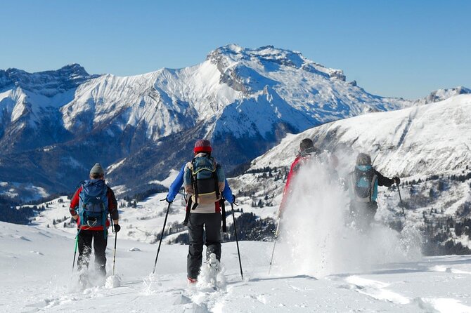 Private Mountain Snowshoe Hike From Chamonix - Key Points