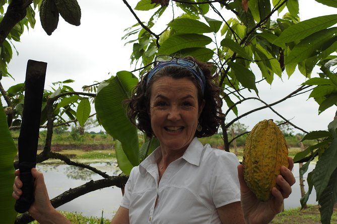 Private Navigation Through Mangroves Forest/ Beach Time/ Chocolate Experience - Key Points