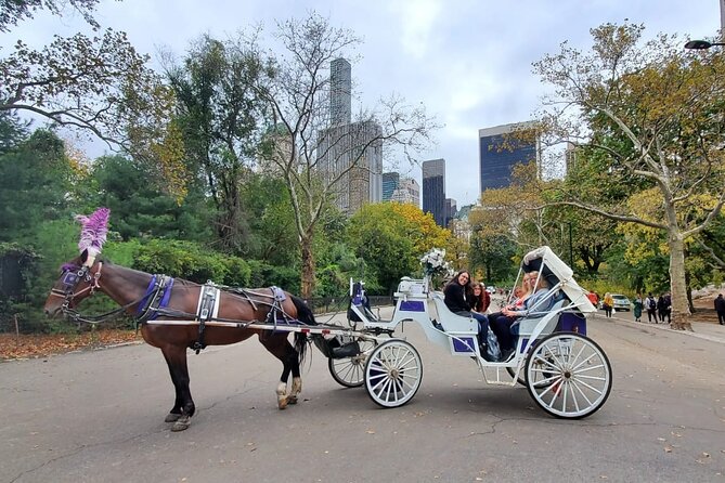 Private NYC Central Park Horse Carriage Ride (Guided) Since 1965 - Key Points