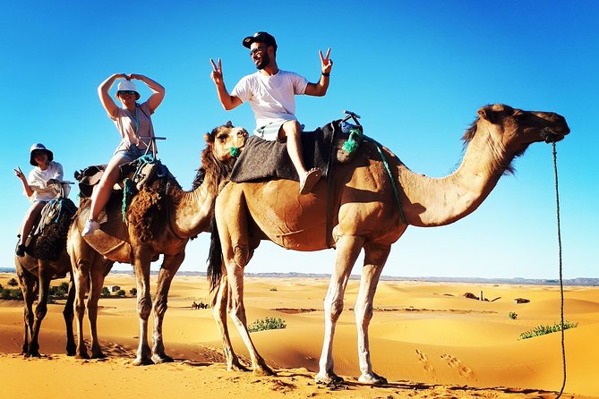 Private Sahara Tour 4/4 Car (Fes to Marrakech- 3 Days 2 Nights) - Key Points