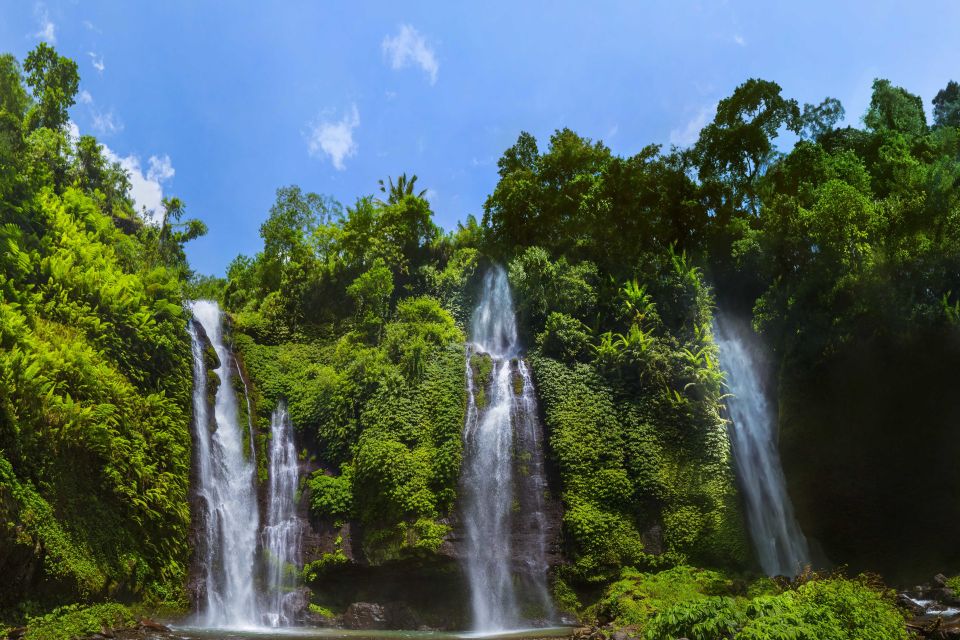 Private Sekumpul Waterfall Hiking Tour - Key Points