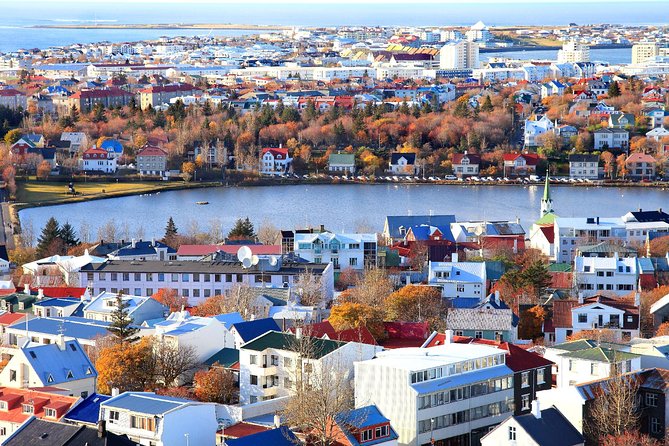 Private Sightseeing Tour in Reykjavik - Key Points