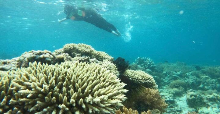 Private Snorkeling Gili Gede, Gili Asahan, Gili Goleng Tour - Key Points