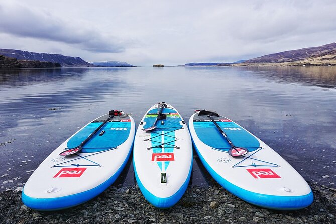 Private Stand Up Paddle Boarding Guided Activity in Hvalfjordur - Key Points