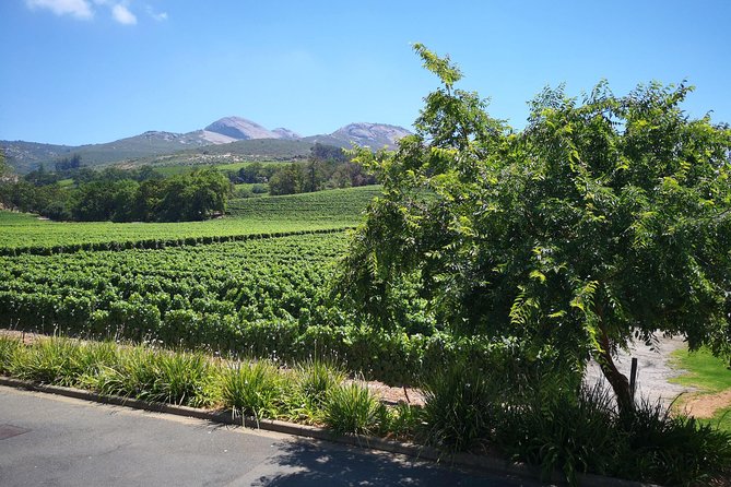 Private Stellenbosch, Franschhoek Paarl Wine Tour From Cape Town - Tour Highlights