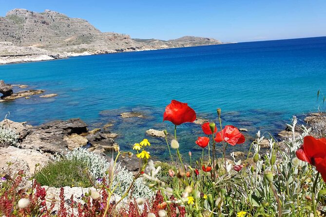 Private Swimming Snorkeling Experience at the Most Beautiful Bays of Rhodes - Key Points