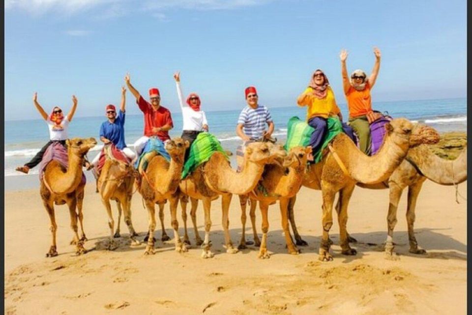 Private Tangier Tour With Lunch and Camel Ride - Experience Highlights