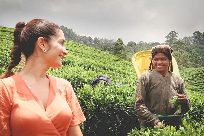 Private Tea Tour and Tea Factory - Key Points