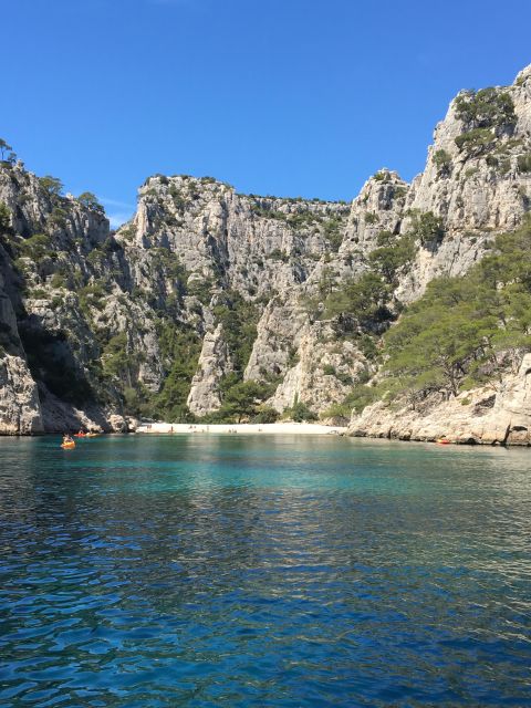 Private Tour Aix En Provence Cassis From Marseille - Key Points