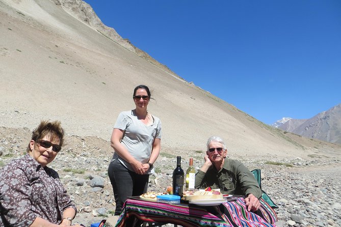 Private Tour: Andes Mountains With Wine Tasting From Santiago - Tour Highlights