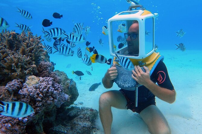 Private Tour: Aqua Safari Scuba Diving - Key Points