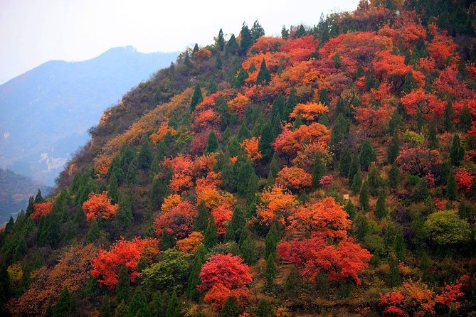 Private Tour: Badaling Great Wall and Kangxi Grasslands on Horseback - Booking and Reservation Information