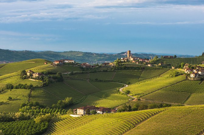 Private Tour: Barolo Wine Tasting in Langhe Area From Torino - Key Points