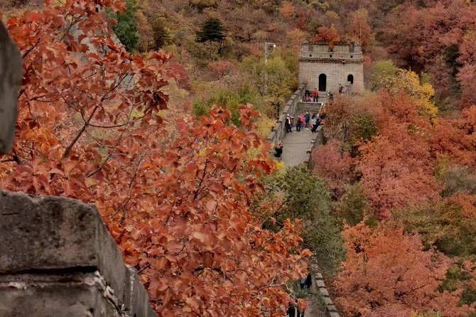 Private Tour: Forbidden City and Mutianyu Great Wall With Cable Car or Toboggan - Tour Highlights