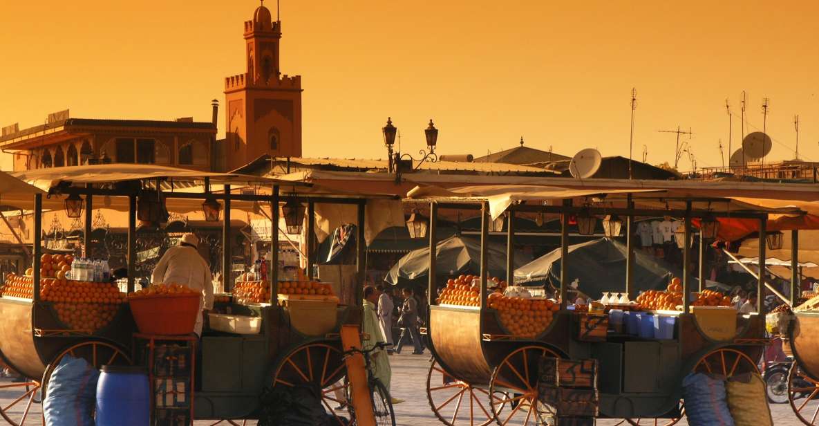 Private Tour: Half-Day Sightseeing Tour of Marrakech - Key Points