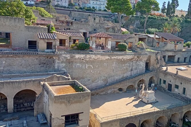 Private Tour in Herculaneum With an Authorized Guide - Key Points