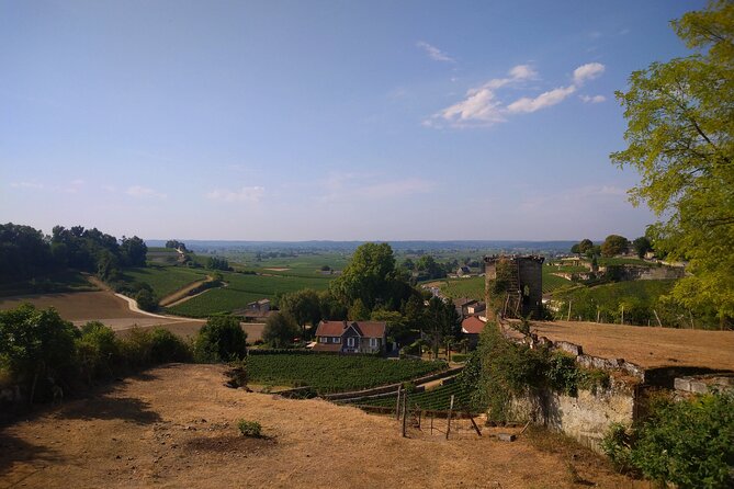 Private Tour in Saint-Emilion, Médiéval Village and Wine Tasting - Tour Title and Highlights