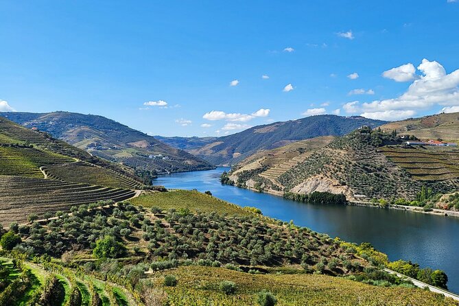 Private Tour Through the Douro Valley (Wineries Boat) - Key Points