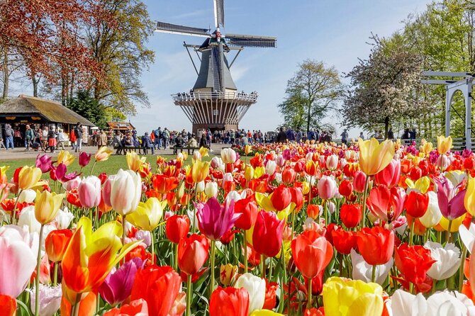 Private Tour to Keukenhof and Castle De Haar - Key Points