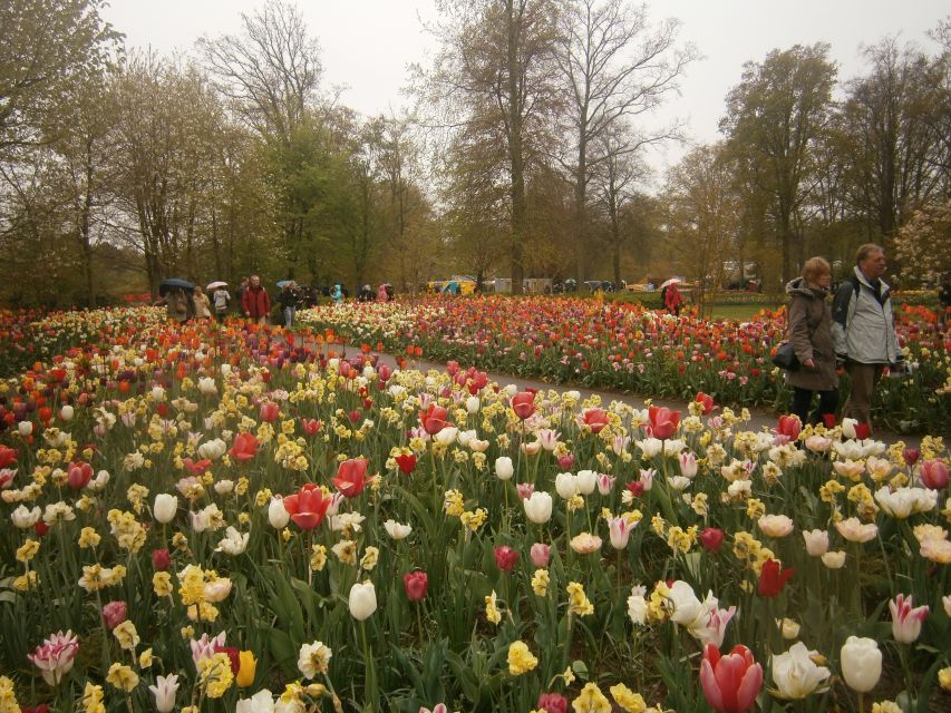 Private Tour to the Flowers From Amsterdam by Bus - Key Points