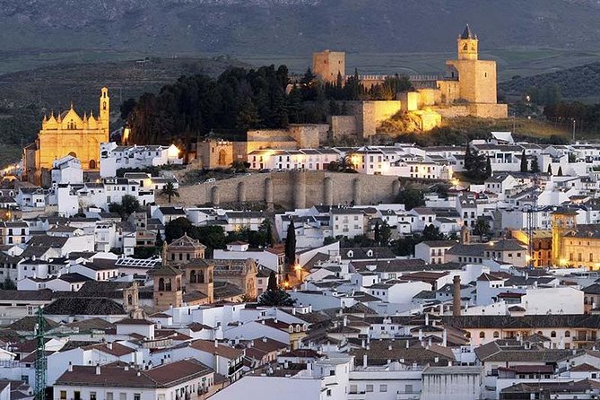 Private Tours From Malaga to Antequera and the Dolmens for up to 8 Persons - Key Points