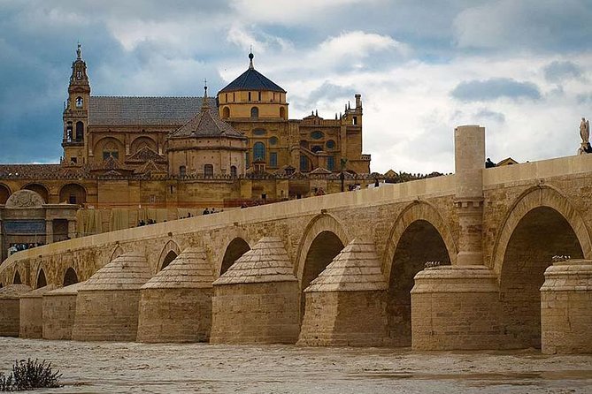 Private Tours From Malaga to Cordoba and the Mezquita for up to 8 Persons - Key Points