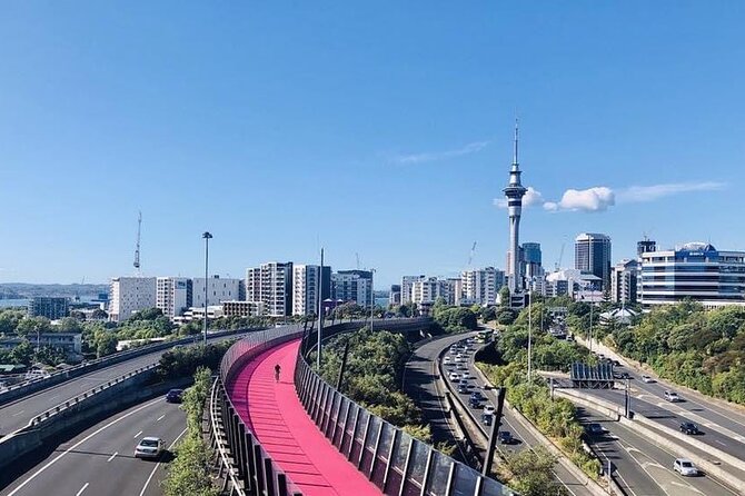 Private Transfer From Auckland Domestic Airport To Auckland City - Key Points