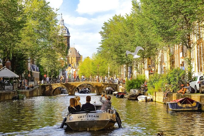 Private Transfer From Brussels To Amsterdam, Stop in Utrecht - Key Points