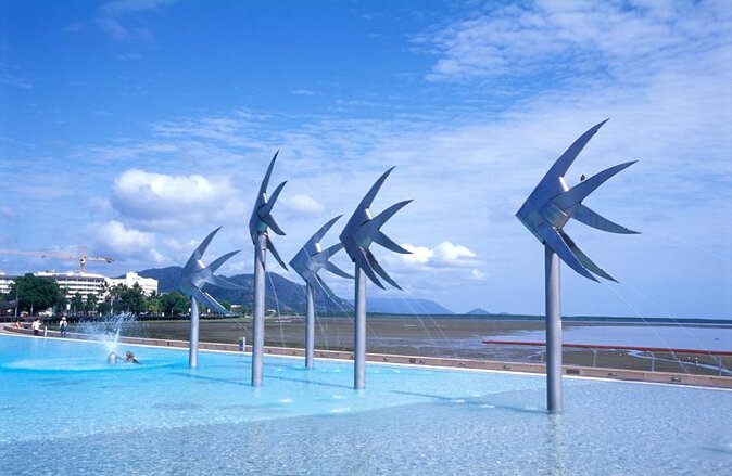 Private Transfer From Cairns Cruise Port to Port Douglas Hotels - Key Points