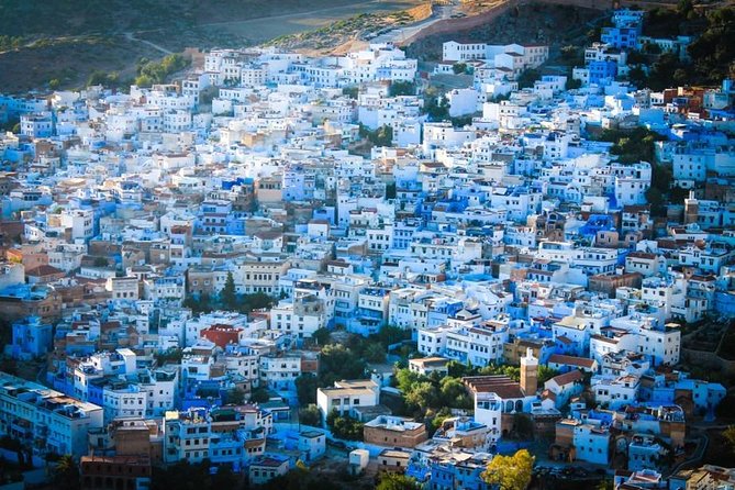 Private Transfer From Marrakech to Chefchaouen (Blue City) - Key Points