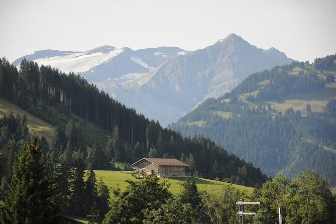 Private Transfer From Zurich to Gstaad With English Speaking Driver - Key Points