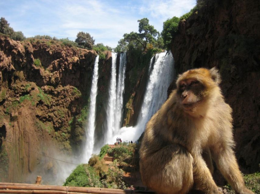 Private Trip Marrakech: Ouzoud Waterfalls Guided & Boat Ride - Key Points